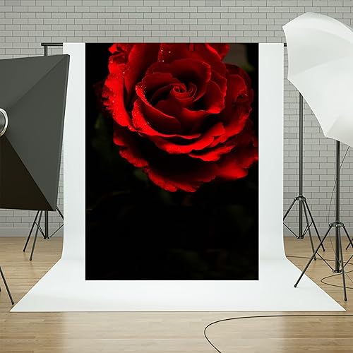 Miniatura 4 de Telón de fondo de fotografía negro rosa roja de 5 x 7 pies para retrato abstracto, sesión de fotos negra, fondo de fotos para adultos, retrato de