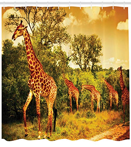 ABAKUHAUS Giraffe Shower Curtain, Safari Animals Walking in the Green Forest Savannah Wildlife Theme - Image 2