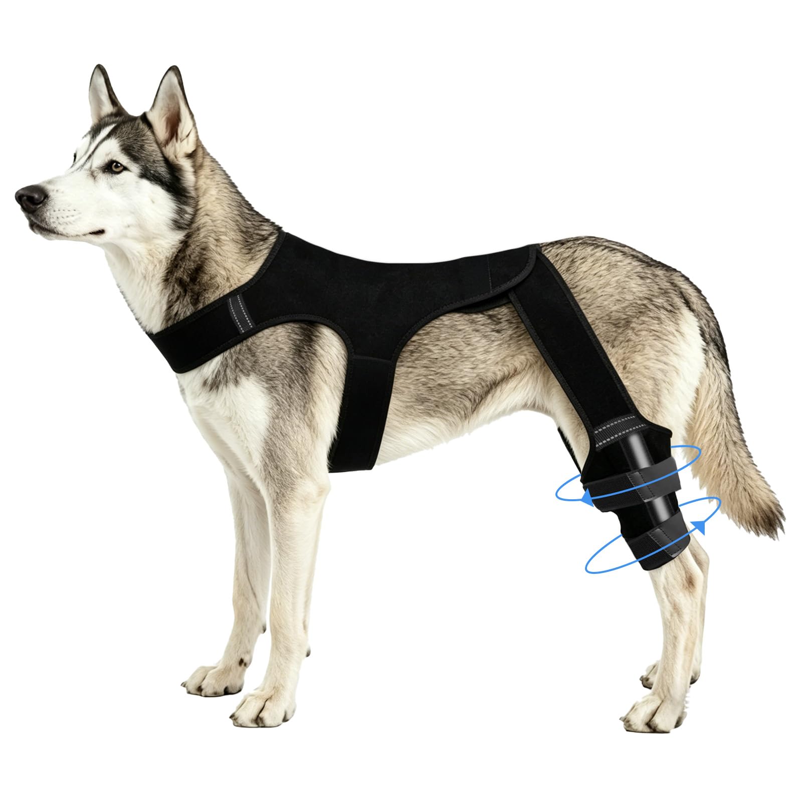 Penitue Dog Knee Brace Hind Leg, Adjustable Dog Hind Leg Braces Protector System with 4 Stabilizers & Hip Support (M)