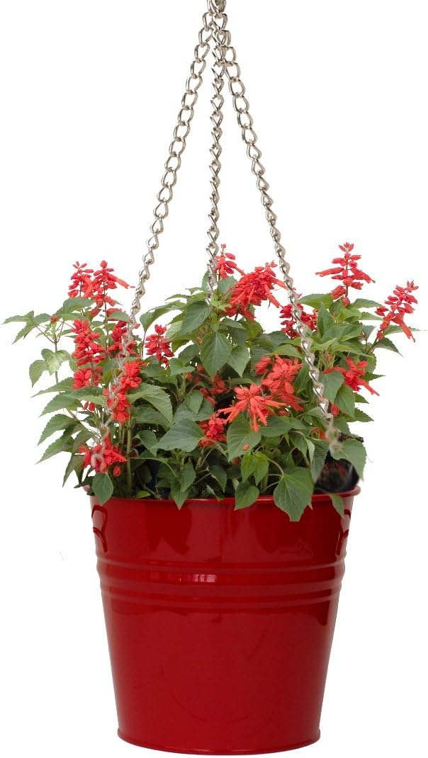 Houston International 6151E XR 9-Inch Steel Hanging Planter, Red