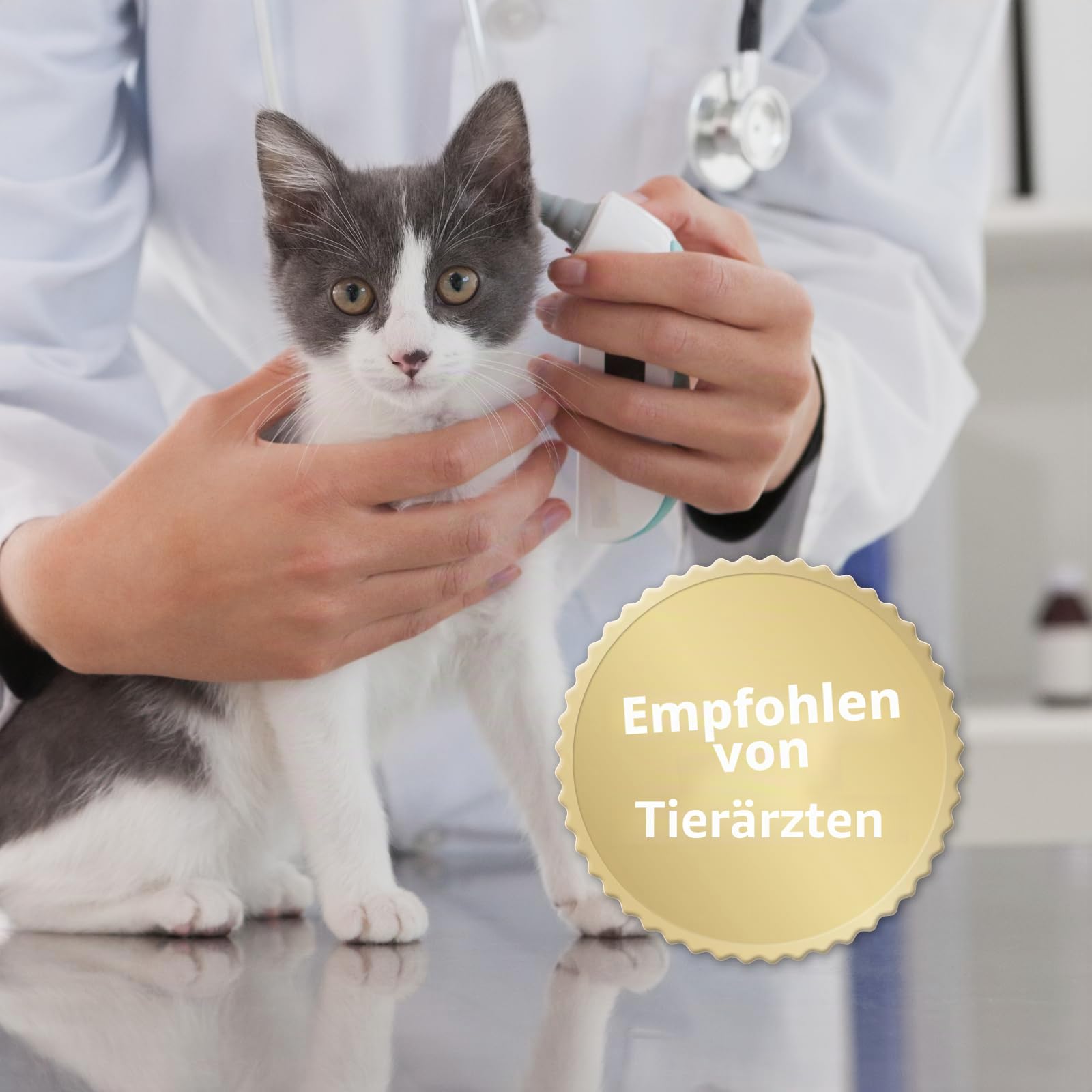 Felisept Family Comfort Starter-Set im Mehrkatzenhaushalt (Verdampfer + Flakon 45ml) - Beruhigungsmittel für Katzen - Katzen Beruhigungsmittel natürliche Katzenminze - Entspannungsmittel für Katzen