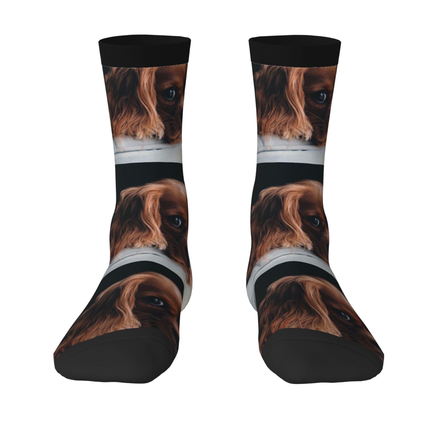 YOFIEN Ruby Cavalier King Charles Spaniel Puppy Dog,Men's Moisture Wicking Breathable Cusioned Crew Socks for women