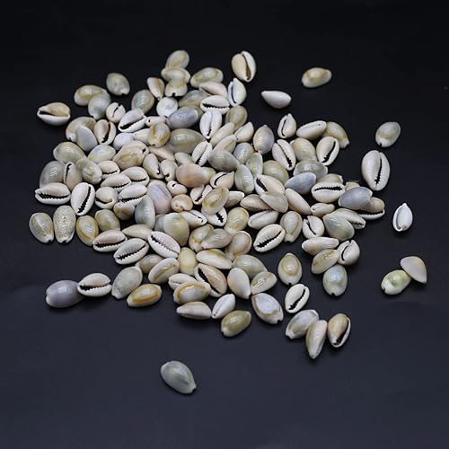 Miniatura 4 de Zotoone Adornos de pecera de caracola natural, cuentas hechas a mano para hacer joyas, manualidades, pulsera y accesorios, Piedra, vidrio aventurina