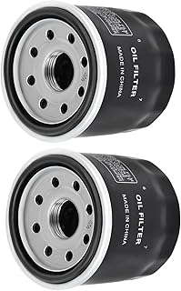 OuYi Oil Filter Compatible with Honda Goldwing 1800 GL1800 NC700X NC750X RC51 ST1300 VFR800 VFR1200X VT1300 Shadow 750 VTR1000 VTX 1300 1300C 1300R 1300S VTX 1800 1800C 1800R Transalp 700