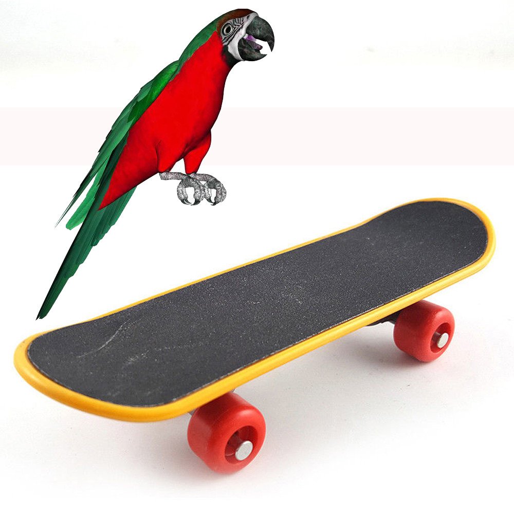Parakeet Mini For Budgies Intelligence Skateboard Bird Training Pet Other IqZ119