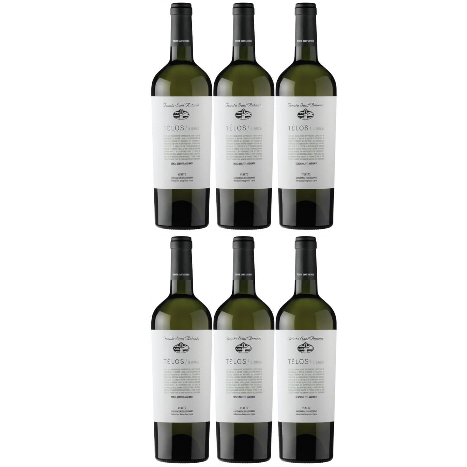 Tenuta Sant'Antonio Telos Bianco Garganega Chardonnay Weißwein weiß trocken Venetien Italien inkl. FeinWert E-Book (6 x 0,75l)