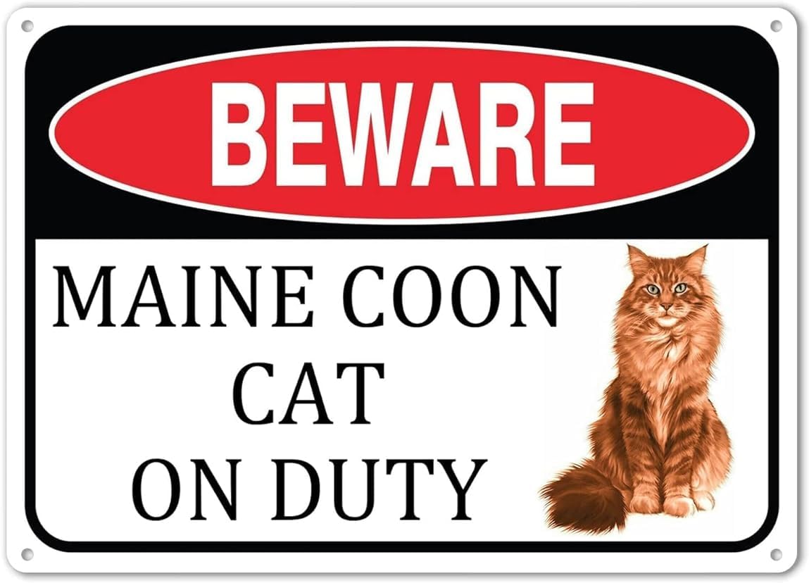 Warning Metal Tin Signs Beware Maine Coon Cat On Duty Funny Vintage Sign Wall Art Metal Tin Sign 8X12 Inch