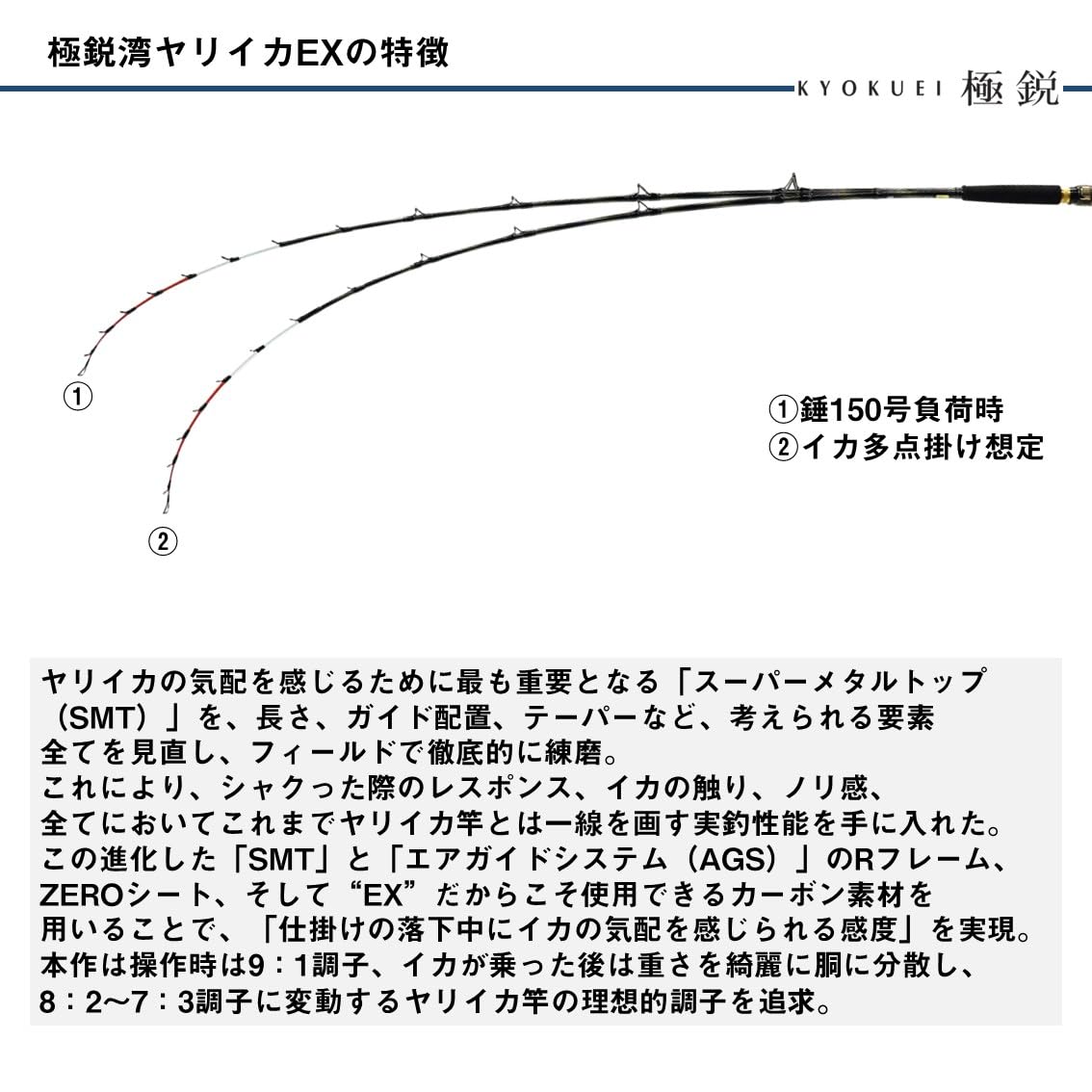 Amazon | ダイワ(DAIWA) 船竿 極鋭ヤリイカ EX 173・J | ダイワ(DAIWA