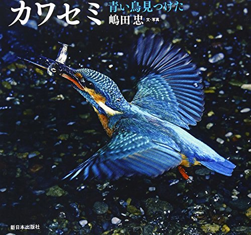 青い鳥 Amazon.co.jp: 嶋田 忠: 本、バイオグラフィー、最新アップデート
