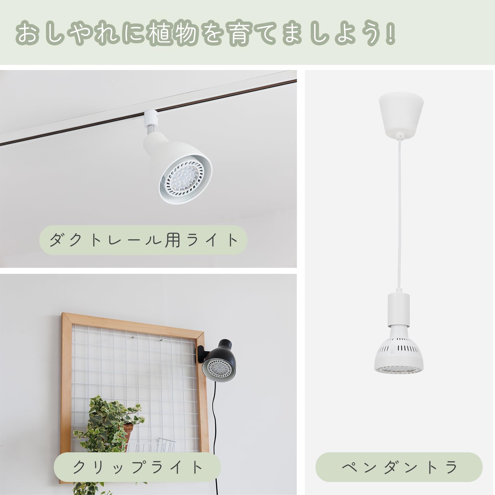 Amazon.co.jp: 智光電気 育成電球 植物育成ライト 昼白色 LED E26口金