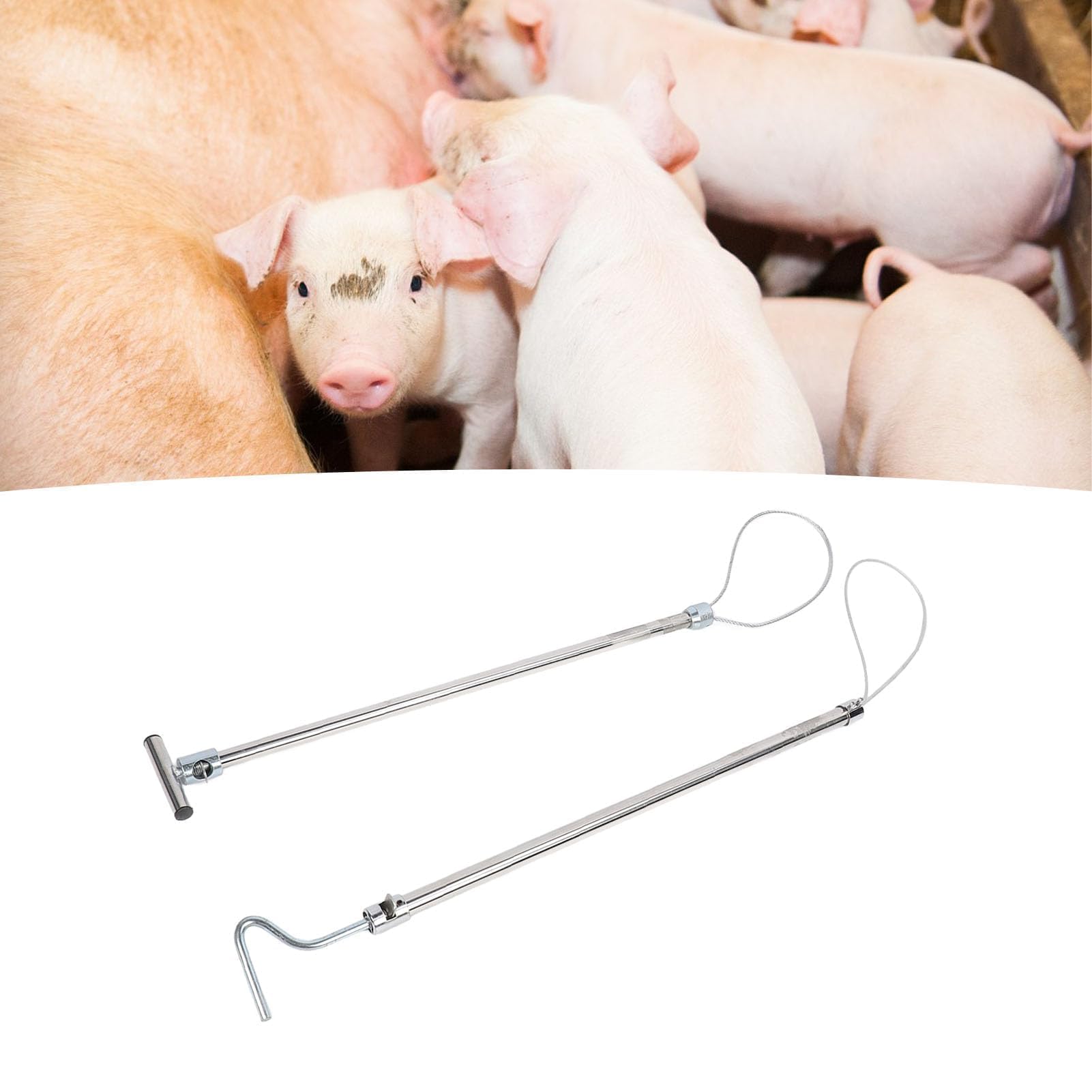 Tierkontrollstange, Fangstange für Hunde, Schlingenhalter, Werkzeug für Mittelgroße und Große Wildtiere, Hunde, Wildkatzen, Waschbären, Schweine, Kojote, Bulldogge, (Hakengriff