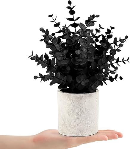 Miniatura 8 de Paquete de 2 plantas artificiales pequeñas de eucalipto negro en maceta para decoración de Halloween, estantes, escritorio, hogar, casa de campo,