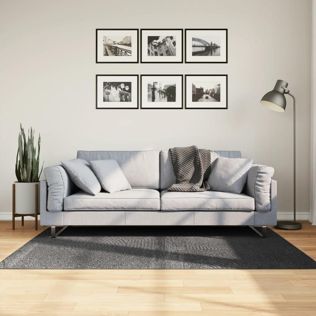 Tapis IZA Poils Courts Style scandinave Anthracite 120x170 cm,Maison & Jardin,Décorations,Tapis,3.85 kg-375428