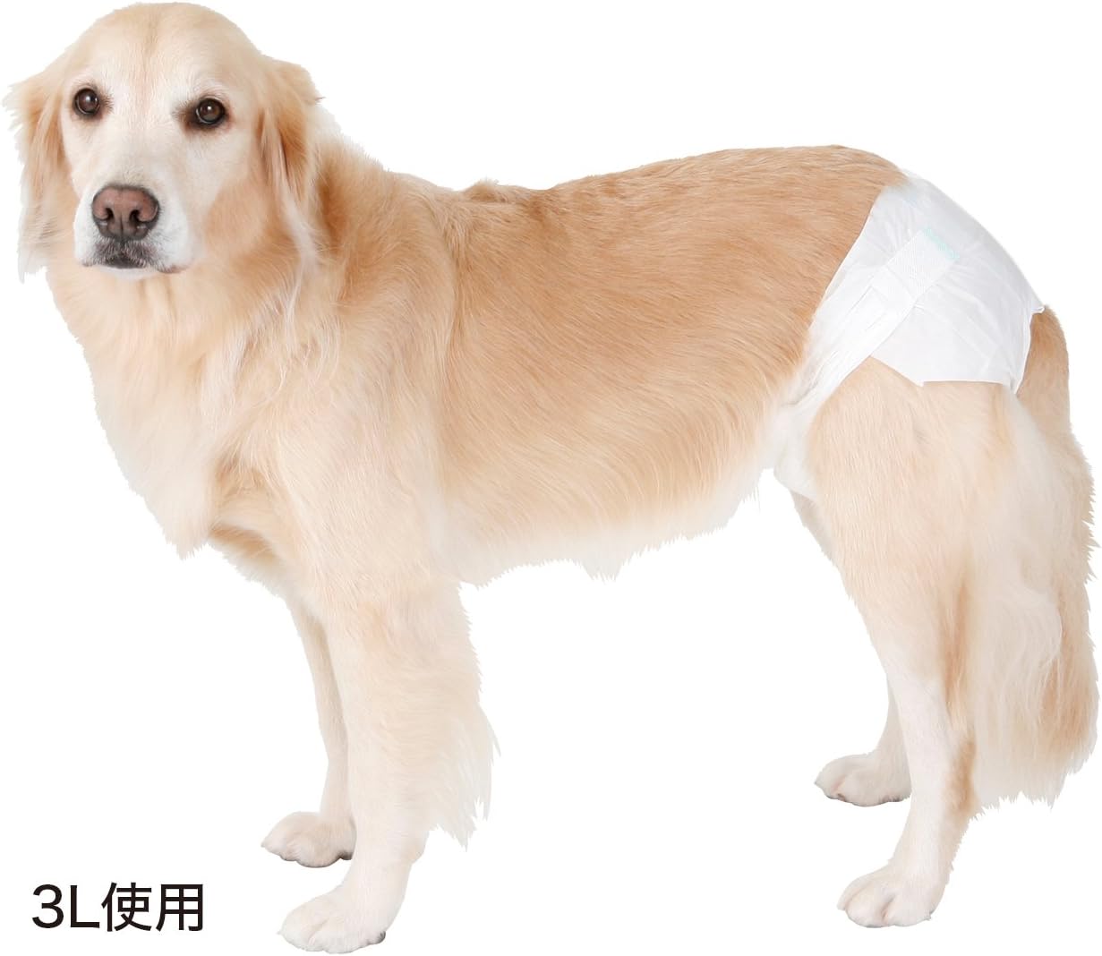 Amazon ペティオ Petio ずっとね 紙おむつ 大型犬用 3リットル X 1 ペティオ Petio 紙おむつ 通販