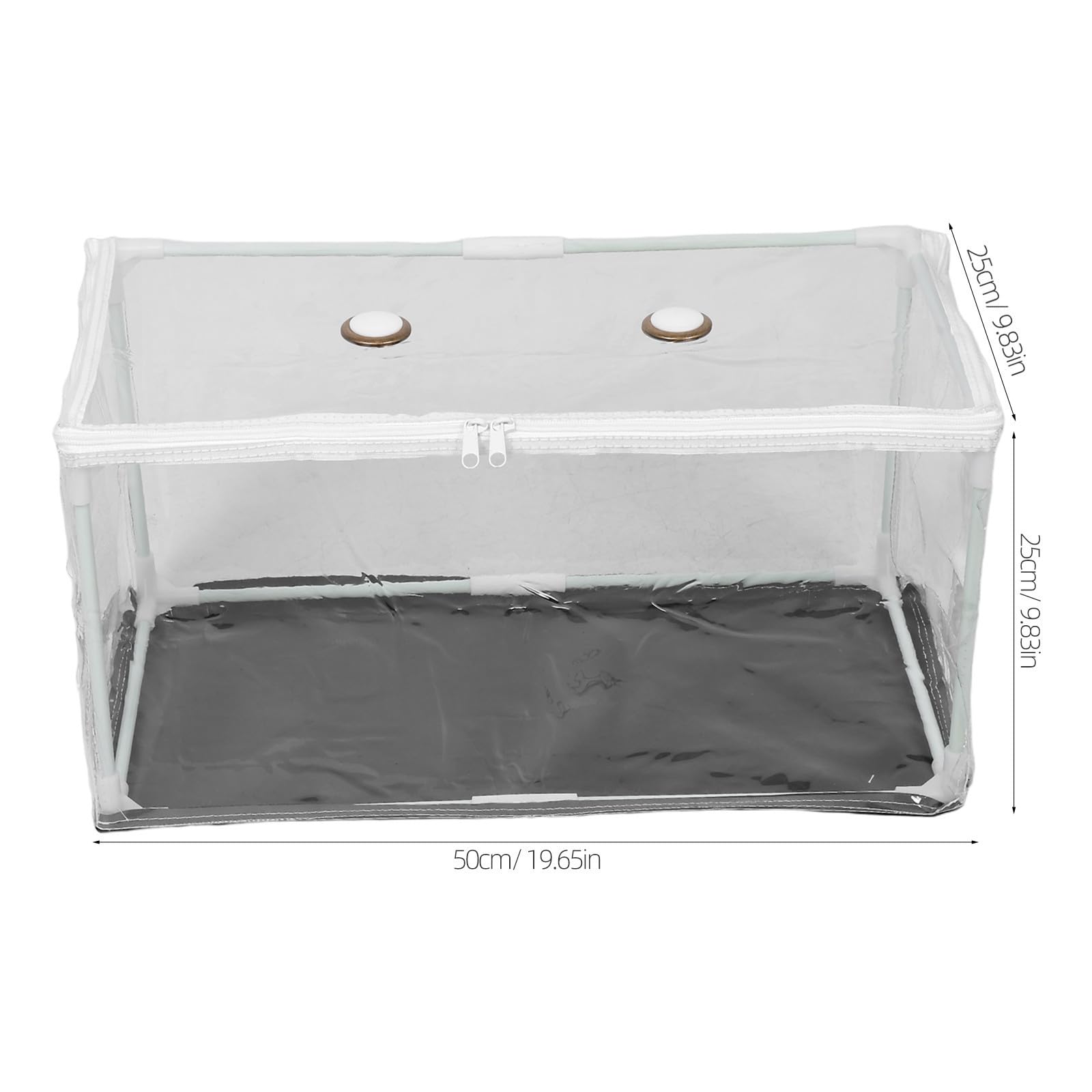 Serrage à Champignons Isolée en PVC, Structure Pliable Transparente