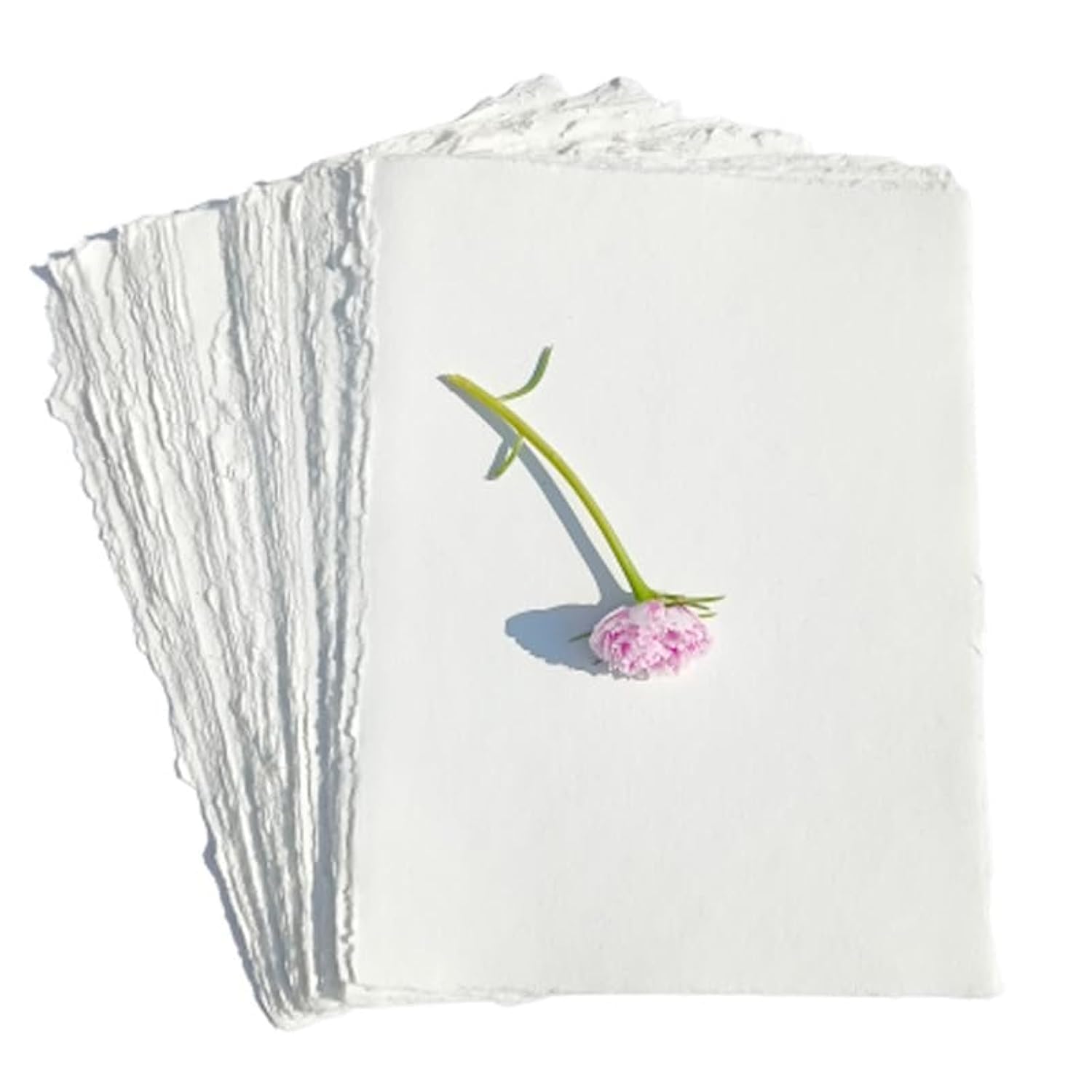 Bawełniane arkusze papieru do kaligrafii, drukowania, scrapbookingu, rękodzieła, mapy, certyfikatu, zaproszenia, 130 g/m², kość słoniowa, 501-8 x 10-50