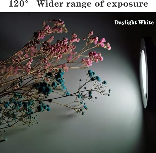 Miniatura 6 de Luz de trabajo LED Clip Foco inundante 30W IP65 Impermeable Equivalente a 300W 11.5 pies 3.5m Cable con enchufe Luces para taller, garaje, sitio de