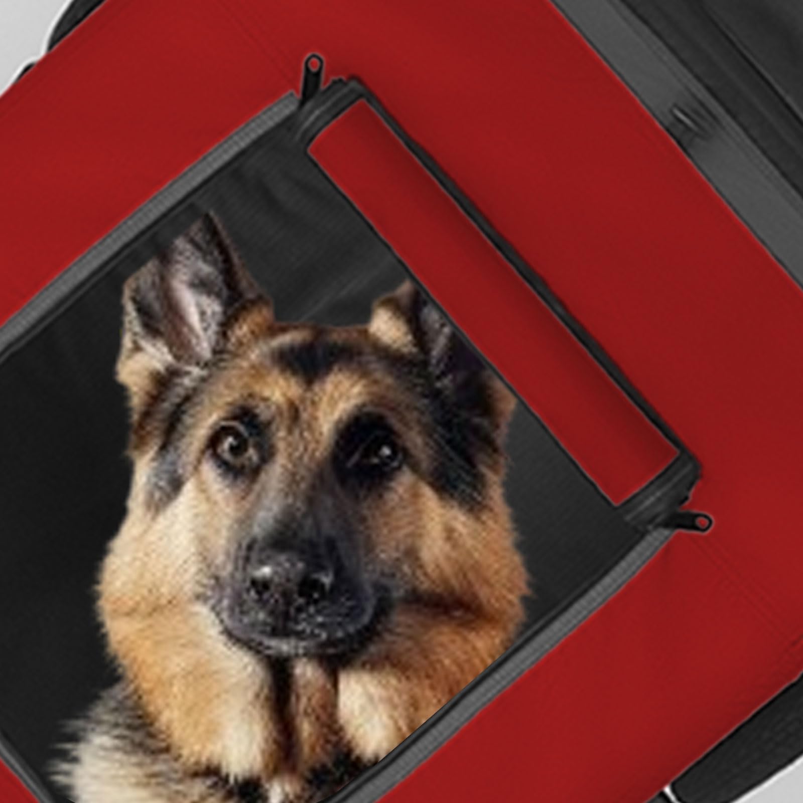Tiggo VS Pets L Hundeanhänger groß Fahrradanhänger für mittelgroße und große Hunde bis 35 kg, Klappbar,