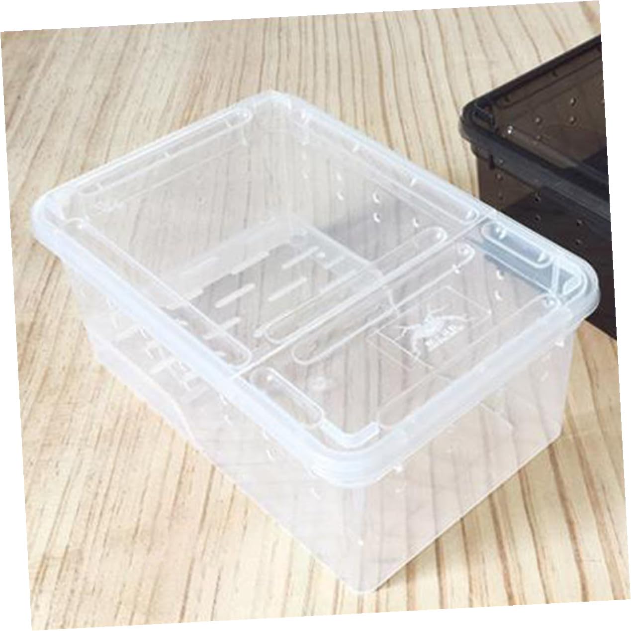 Box Tartaruga Terrario Anfibio con Piattaforma di Sole in Plastica | Area Osservazione Semplice Riposo e Alimentazione , Pendenza Adatta per Tartaruga e Testuggine