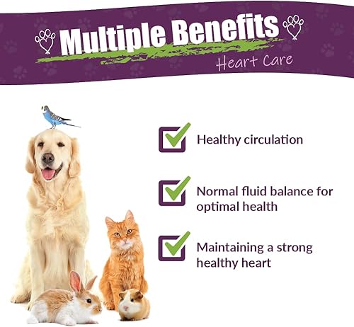 Miniatura 10 de Amber NaturalZ - Espino y diente de león - Cuidado del corazón - para Petz - 1 onza