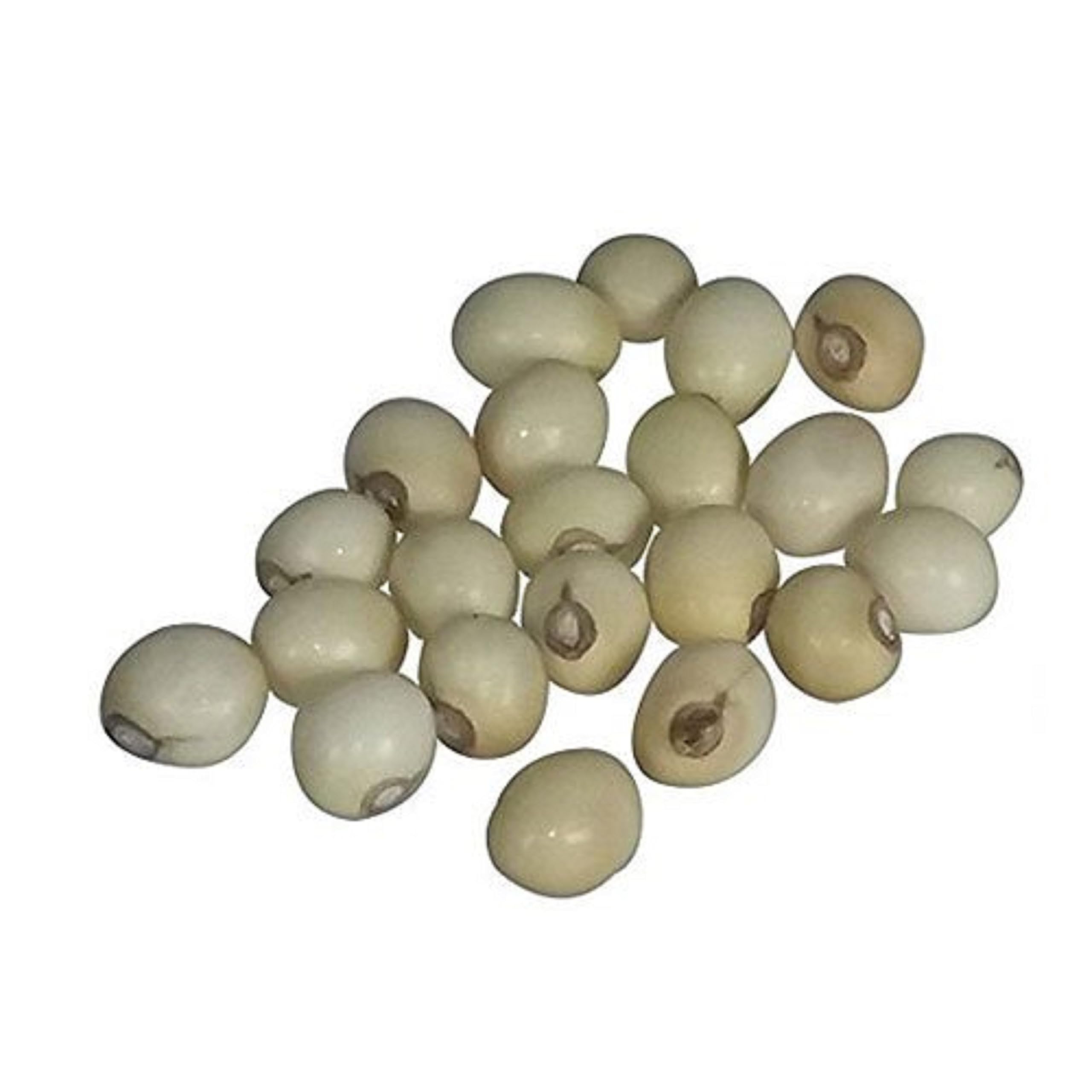 RUKDA® Natural & Rare White Gunja Seeds | White Chirmi | White Gunja Beads | Safed Chirmi Seeds | White Rosary Pea | White Ratti | Gunchi | Gulaganji | Guruvinda | Kunch | Chanoti - 21 pcs-picture-36