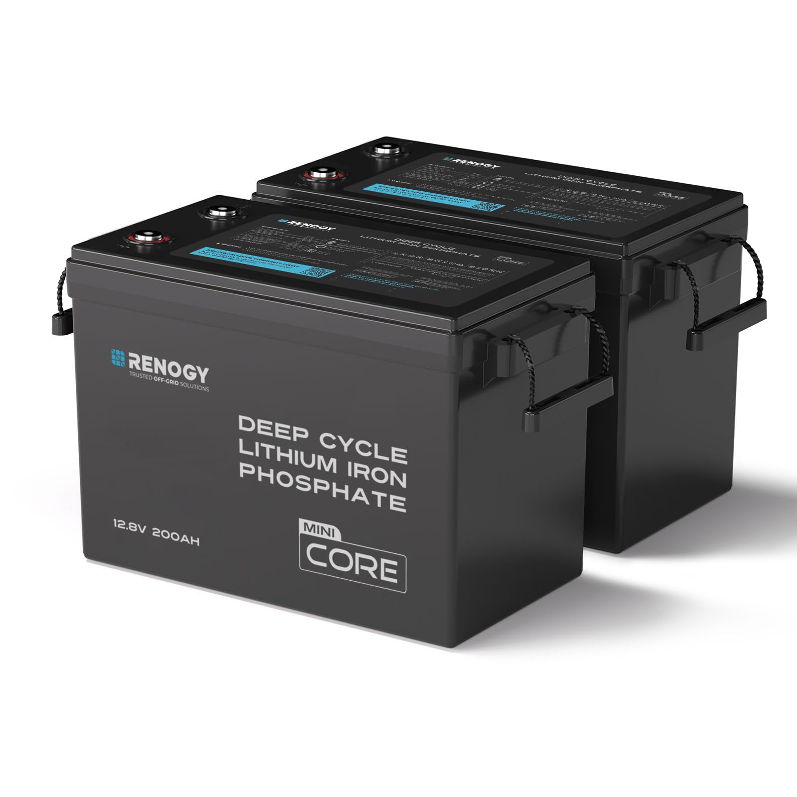 Renogy 12V 200Ah LiFePO4 Lithium Battery, Mini Size 100A BMS RV Boat 2PCS