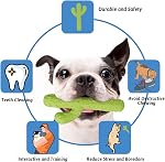 MewaJump Dog Chew Toys, Durable Rubber Dog Toys for Aggressive Chewers, Cactus Tough Toys for Training and Cleaning Teeth, Interactive Dog Toys for Medium/Large Dog