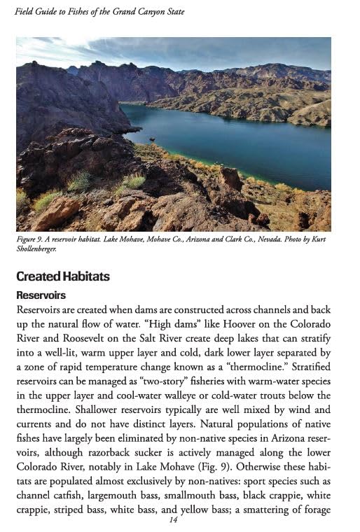Field Guide to Fishes of the Grand Canyon State