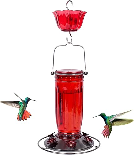 Miniatura 8 de Kingsyard Comedero de vidrio para colibríes para exteriores, comedero para pájaros silvestres con 6 puertos de alimentación para colgar para patio