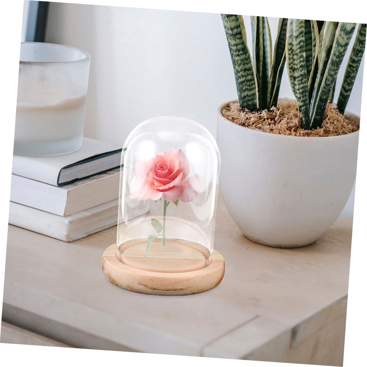 Mini Glass Dome with Base, Glass Display Cover for Flowers Xmas