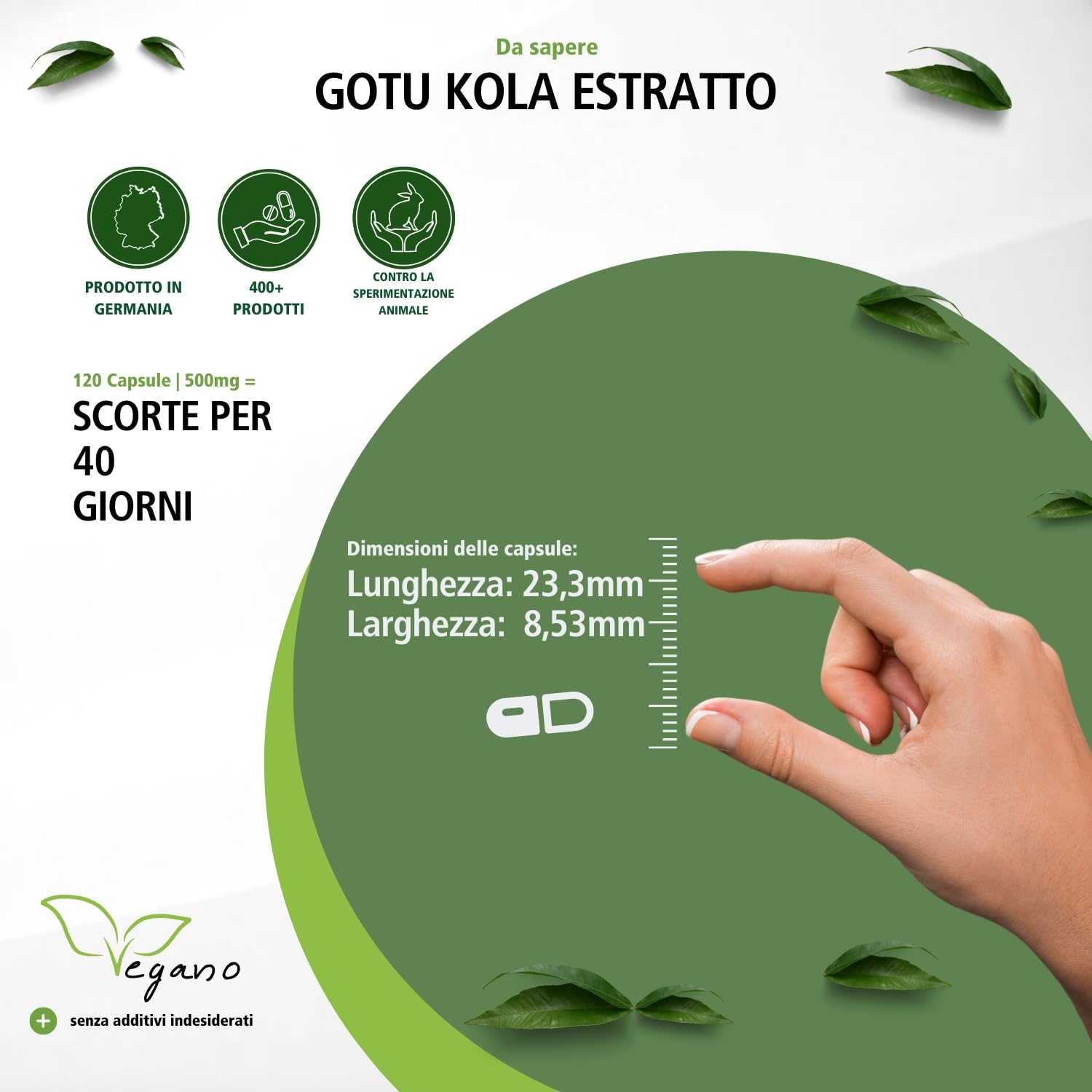 fairvital Centella Asiatica, 120 capsule, con 500 mg di estratto di Centella Asiatica per capsula, ALTO DOSAGGIO, VEGANO