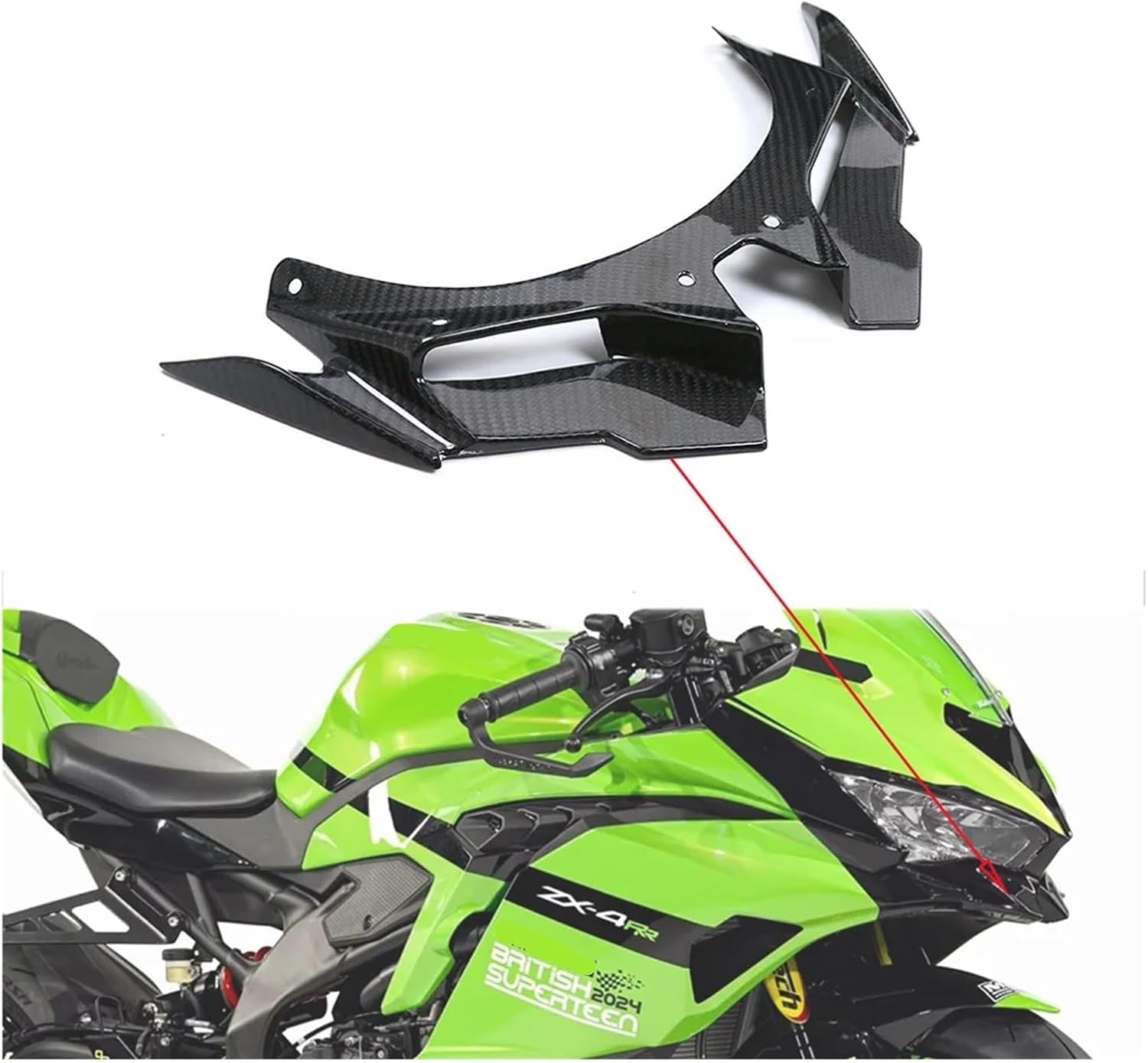 ドラセナ キュンティ 3寸ロング ドラセナ・キュンティー（Dracaena