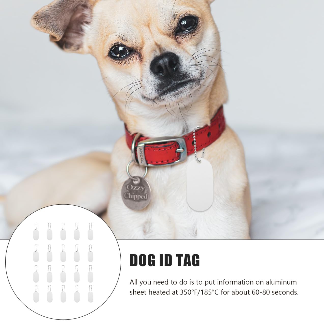 INOOMP 40pezzi Medaglietta Identificativa Per Animali Domestici Design Bifacciale Per Personalizzazione e Contatti Accessorio Pratico Per Cani Gatti e Piccoli Animali