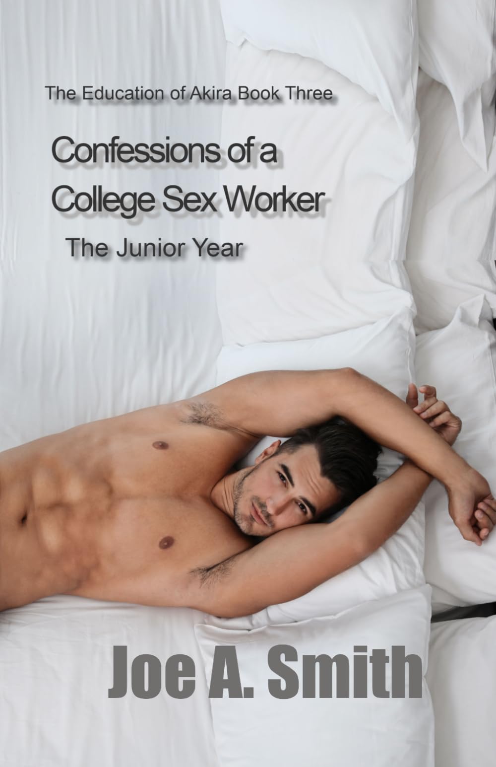Confessions of a College Sex Worker—the Junior Year: The Education of Akira Book 3