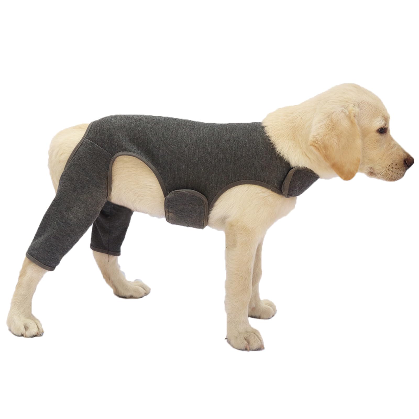 Manchon de coude pour chien pour membre blessé protection jambe arrière