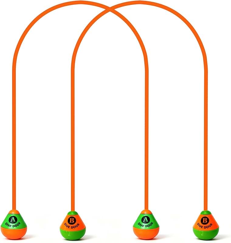 CATZUM Anneaux de Plongée & Jouet de Piscine – Set de Jeux Aquatiques pour Apprendre à Nager | Jouet de Bain et Piscine Filles Garçons | Cadeau pour Enfants dès 5 Ans CATZUM Anneaux de Plongée & Jouet de Piscine – Set de Jeux Aquatiques pour Apprendre à Nager | Jouet de Bain et Piscine Filles Garçons | Cadeau pour Enfants dès 5 Ans