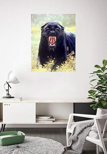 Miniatura 2 de Póster artístico para decoración de pared, diseño de animales salvajes, pantera negra (leopardo) (16 x 20 pulgadas)