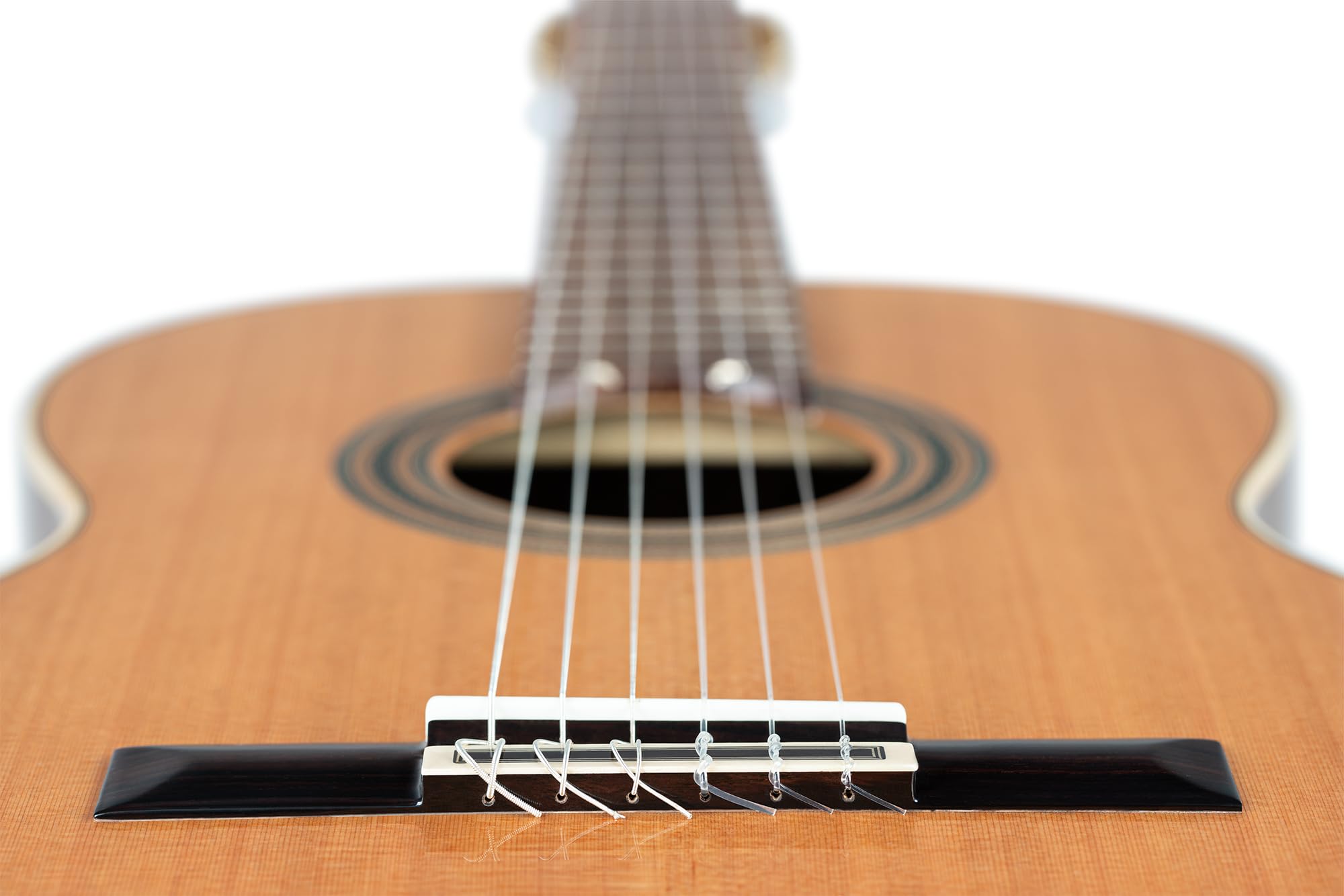 Ortega Traditional Series - Chitarra con corde in nylon, realizzata a mano in Spagna, con manico sottile e custodia professionale (R20GSNWN)