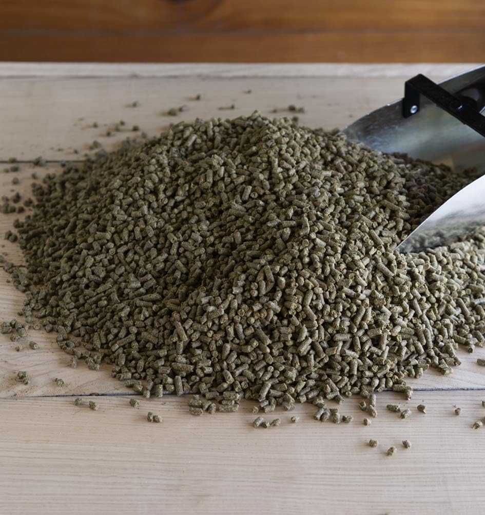 Triple Crown Perform Gold Horse Feed, High-Fat Horse Supplement, Horse Food Ideal for Performance Horses, 50 lbs