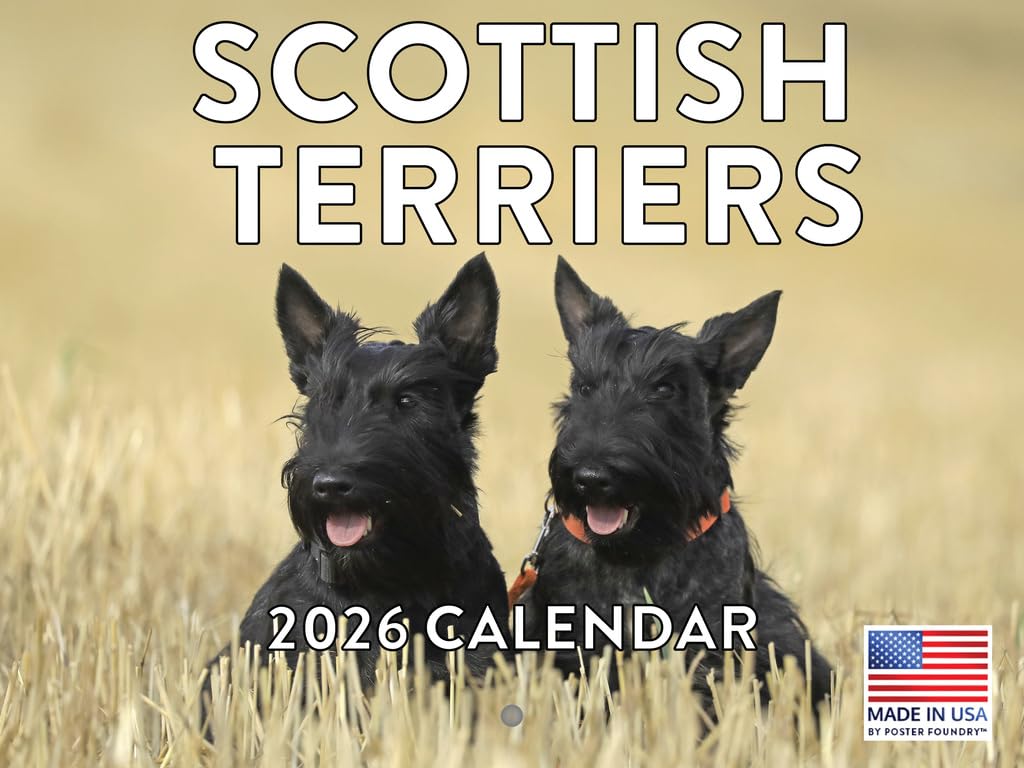 Scottish Terrier Calendar 2026 Scottie — image 1