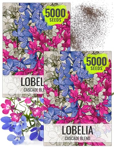 Seed Needs, Cascade Mixture Lobelia Seeds - 5,000 Heirloom S...