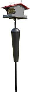 JCs Wildlife Large Poly Hopper Bird Feeder with Denali Squirrel Proof Pole - Feeder Holds 2 Gallons of Bird Seed - Wonderf...