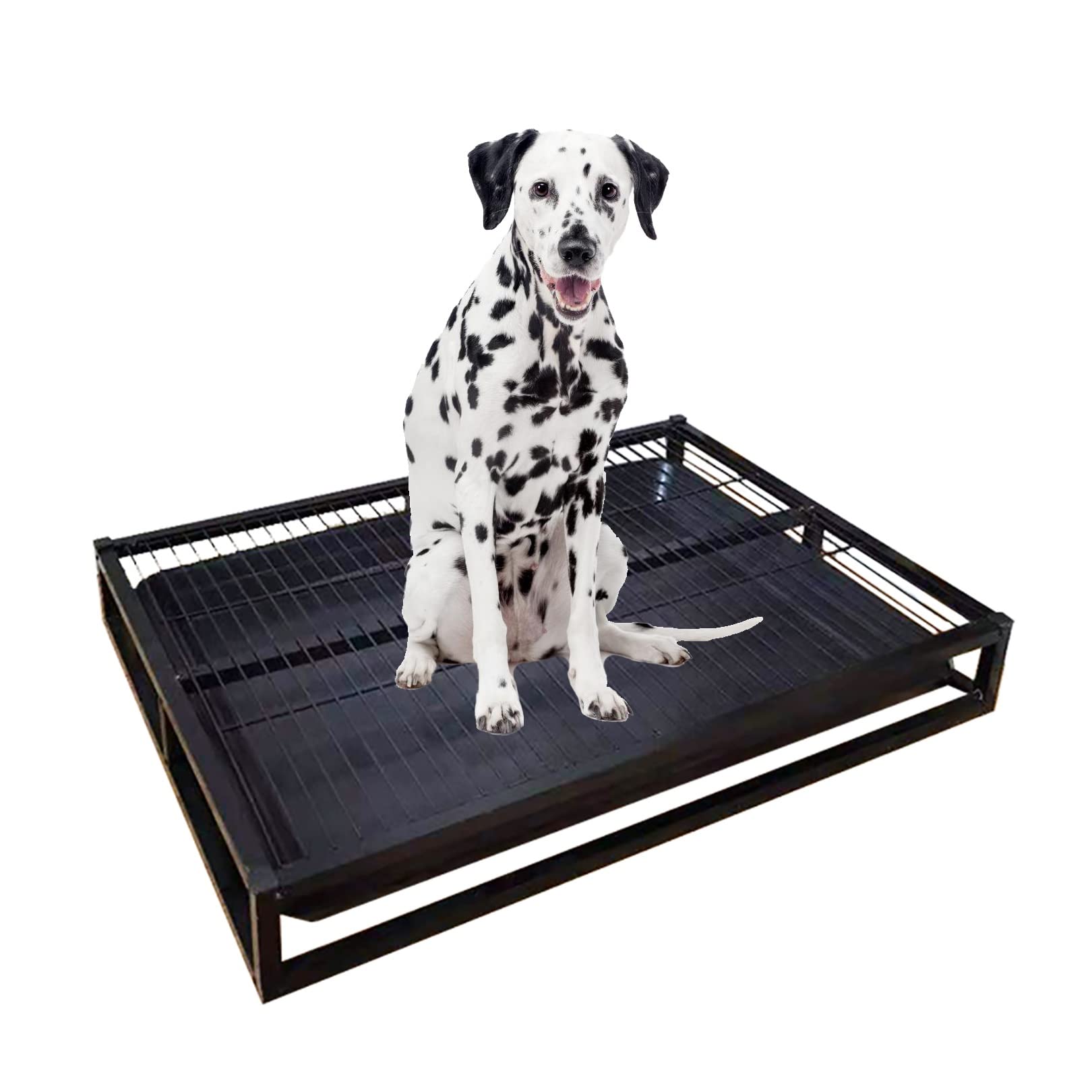 Amazon Co Jp トイレトレー ワイド 大型犬用トイレ ステンレス製犬用トイレトイレトレイ 屋内犬用トイレトレイ 犬トイレ 犬 といれトレー トイレトレー ペット用室内トイレ 中型および大型の犬用トイレを備えた犬用小便器 2層デザインを引き出し 子犬 大人の犬