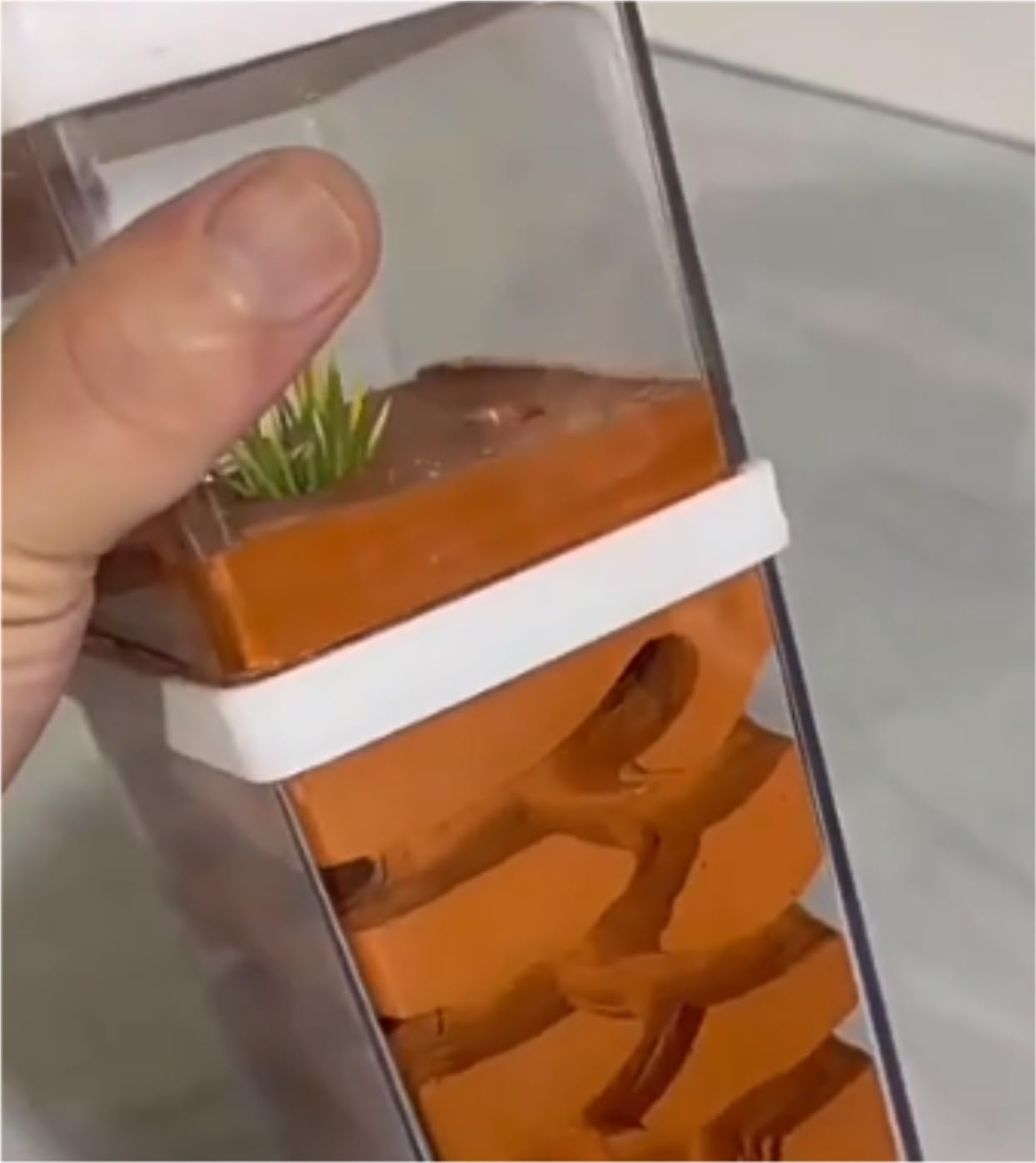 PC Ant Castle