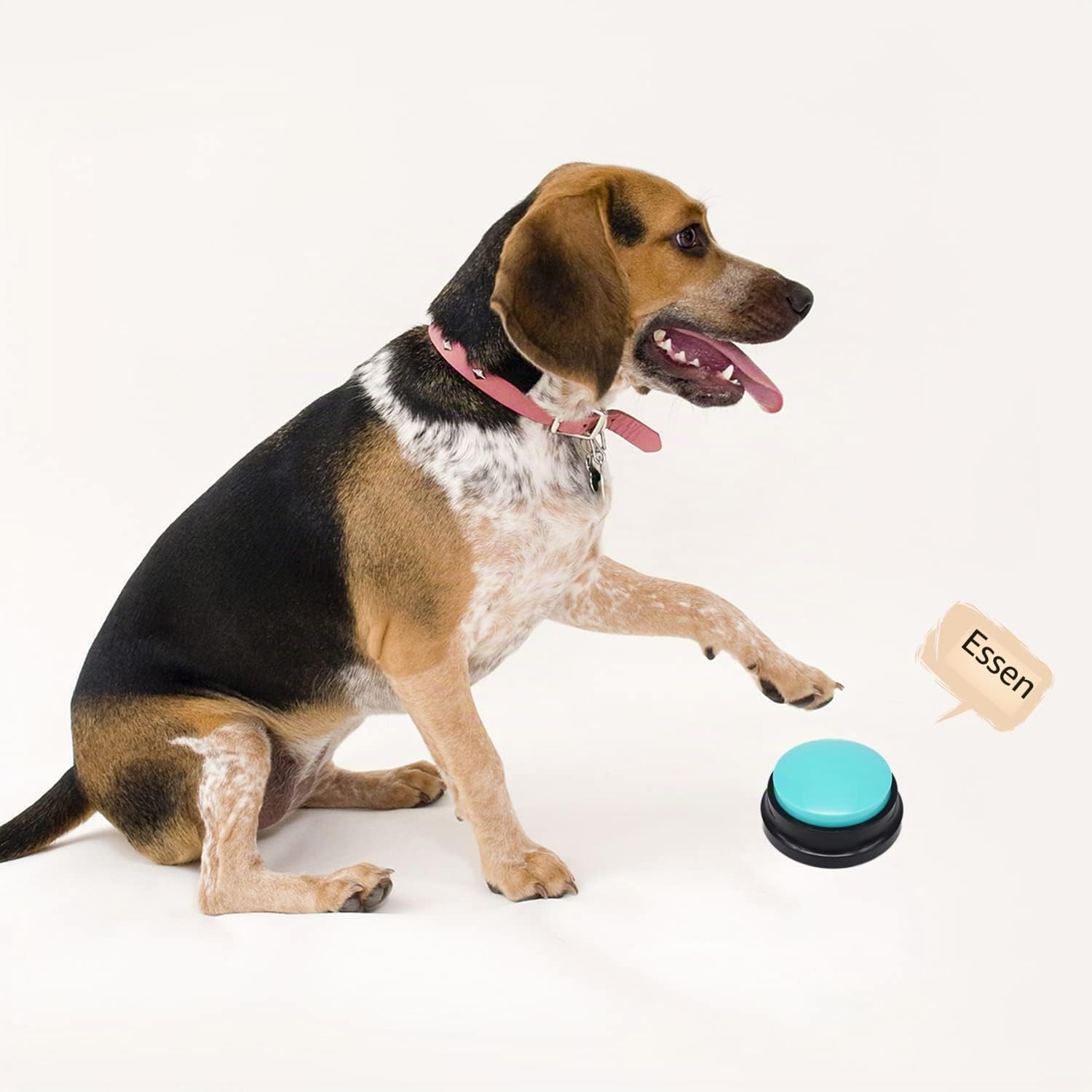 Buzzer mit Aufnahmefunktion, Intelligenzspielzeug für Hunde, Haustier Talking Training Antwort Buzzer, 30 Sekunden Aufnahme &Wiedergabe (6 Stück)