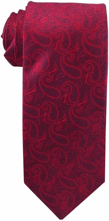 Johnson Brothers Angel Moroni Paisley Tie for Men