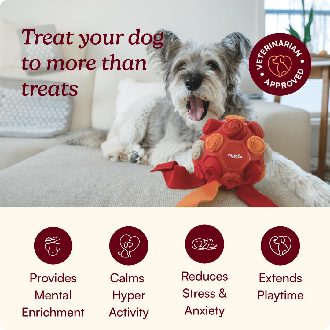 Reggie Pelota recolectora para perros, juguete interactivo dispensador de golosinas para estimulación mental, reduce el aburrimiento, el estrés y la hiperactividad, bola de enriquecimiento para perros