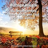 Kleiner Stein 19
