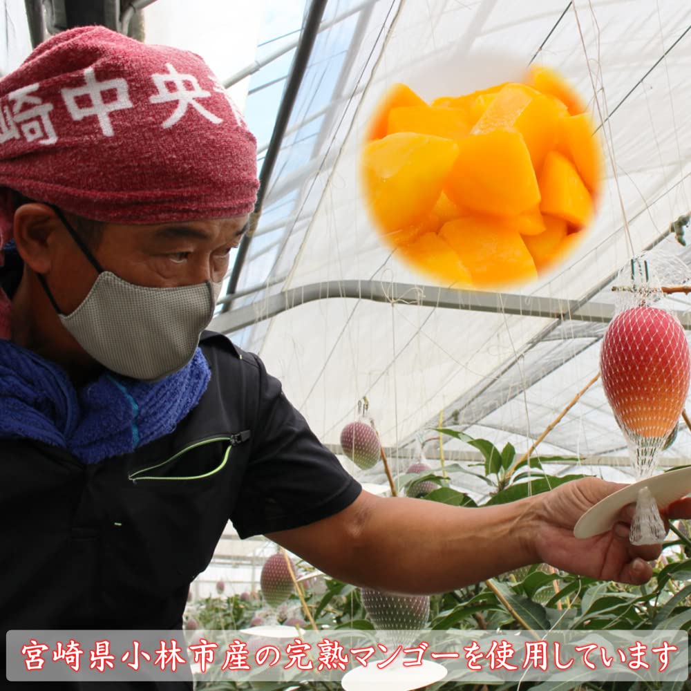 【hoa qua vietさま専用】摘果マンゴー 20kg 沖縄県産 小玉青マンゴー 摘果マンゴー 20キロ 【公式通販】