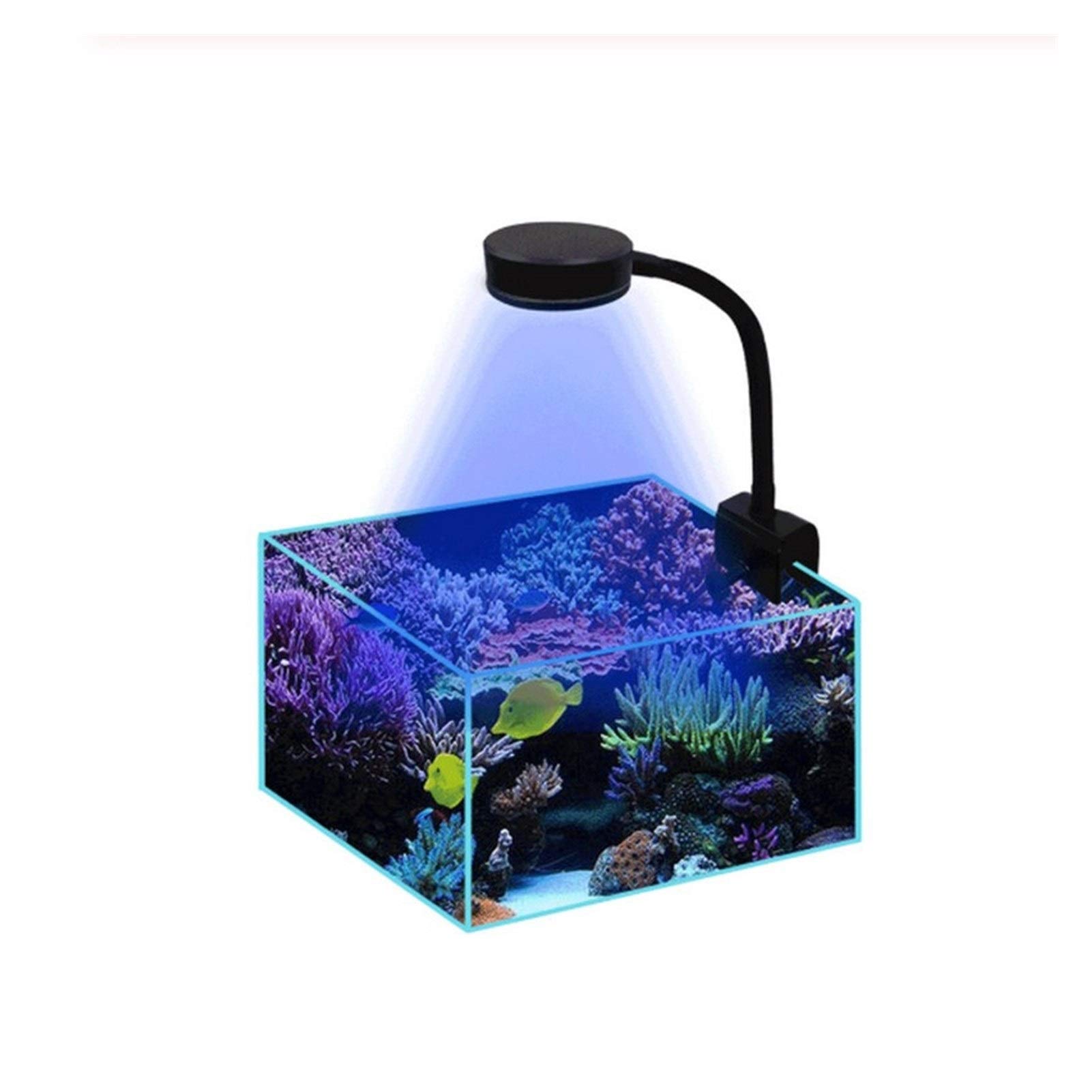 Lumière d'aquarium Lumière LED pour Aquarium 18W Lumières d'eau de mer 3W Puces Éclairage d'eau salée Lampe à Clipser Récif de Corail Marin Réservoir de Poissons Lever du Soleil Co